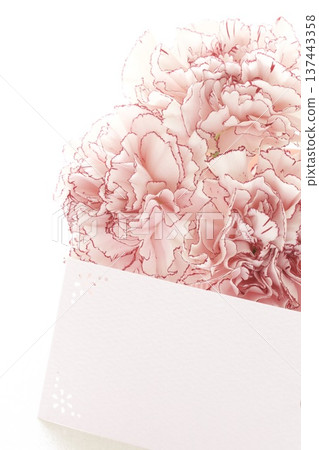 Carnation bouquet gift Carnation bouquet gift 137443358