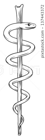 Rod Of Asclepius Doctor Caduceus Medical Symbol 137443372