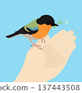 A bird is sitting on an open palm, holding a snowdrop in its beak. The concept of Easter, spring 137443508