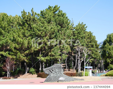 公園裡的蔥綠意 | 辰巳之森綠道公園 公園裡的蔥綠意 | 辰巳之森綠道公園 137444094