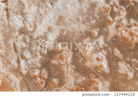 Close-up of natural stone texture with coral and ginger orange tones. Rough rocky surface pattern 137444129