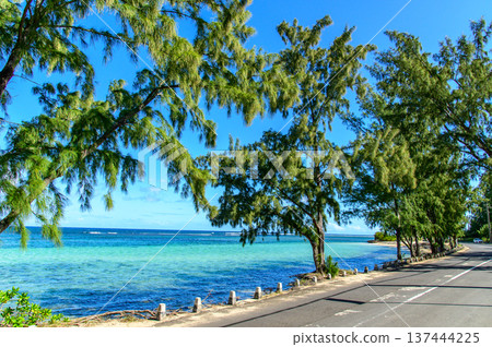 Beautiful beach scenery in Mauritius Beautiful beach scenery in Mauritius 137444225