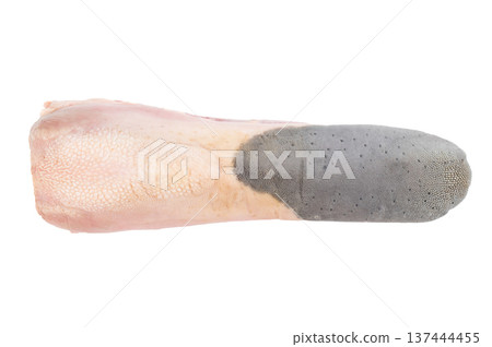 Raw beef tongue isolated on white background. Whole cow tongue meat cut, traditional organ meat ingredient. Raw beef tongue isolated on white background. Whole cow tongue meat cut, traditional organ meat ingredient. 137444455
