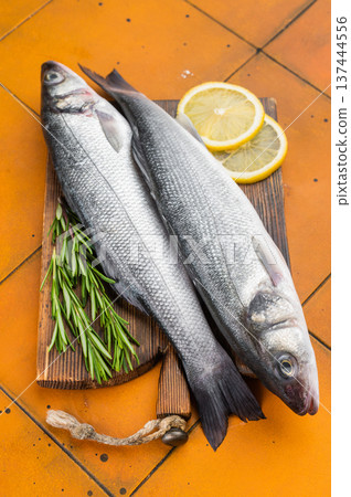 Fresh European seabass or sea bass on colorful tile surface with lemon and rosemary, clean top view layout ideal for healthy cooking and gourmet seafood advertising. 137444556