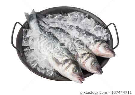 Fresh whole European sea bass arranged on ice, silver scales and ocean catch highlighting premium seafood quality and gourmet cooking preparation. Fresh whole European sea bass arranged on ice, silver scales and ocean catch highlighting premium seafood quality and gourmet cooking preparation. 137444711