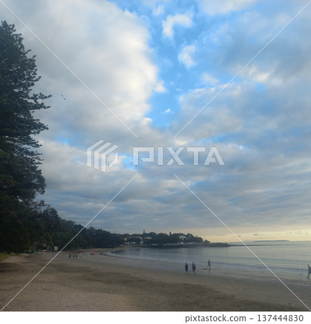紐西蘭清晨的大海 紐西蘭清晨的大海 137444830