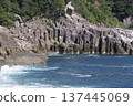 Columnar jointed coast of Kumano-Nada 137445069