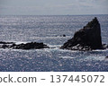 Kaminoshima Island in the Kumano Sea 137445072