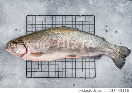 Whole raw rainbow trout on metal rack with rosemary and thyme flat lay on light stone background with copy space 137445116