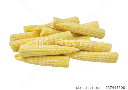 Fresh baby corn cobs stacked together isolated on white background raw vegetable ingredient for healthy cooking asian cuisine Fresh baby corn cobs stacked together isolated on white background raw vegetable ingredient for healthy cooking asian cuisine 137445308