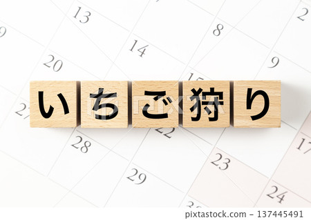 Blocks with "Strawberry Picking" written on them and a calendar Blocks with "Strawberry Picking" written on them and a calendar 137445491
