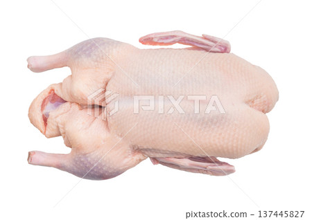 Raw whole duck carcass on a clean white background ideal for food stock images showcasing fresh poultry meat and culinary preparation. 137445827