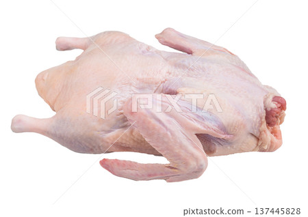 Raw whole duck carcass on a clean white background ideal for food stock images showcasing fresh poultry meat and culinary preparation. 137445828