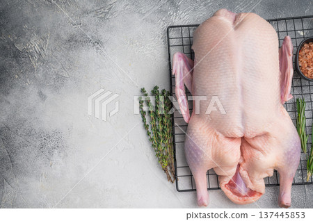 Plucked whole duck prepared with thyme and rosemary on wire rack over bright stone backdrop showcasing fresh raw poultry visuals. 137445853