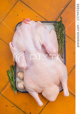 Uncooked duck carcass arranged with herbs on baking tray against bright orange tiles perfect for culinary preparation photography. 137445888