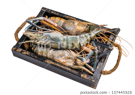 Closeup of raw rosenbergii shrimp prawn showcasing their vibrant color and texture, a must-have for culinary creations. isolated on white background. top view 137445928
