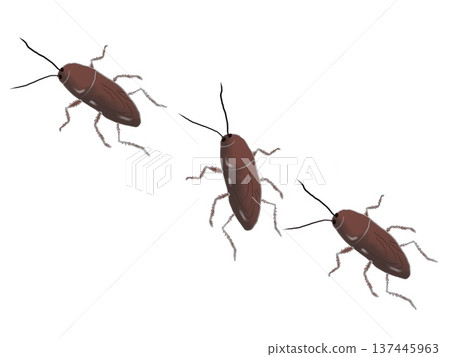 Illustration of several cockroaches lined up 137445963