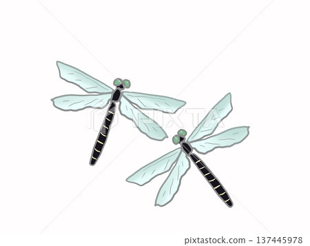 Illustration of a dragonfly with its wings spread 137445978