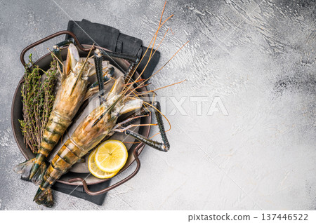 Plump raw giant river prawns shrimps, ideal for sushi, grilling, or adding a touch of luxury to any meal. white background. top view 137446522