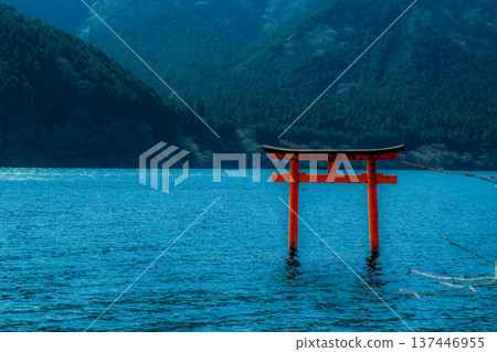 矗立在水面上的鳥居 137446955