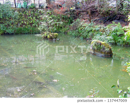 Ogata Shrine pond Ogata Shrine pond 137447009