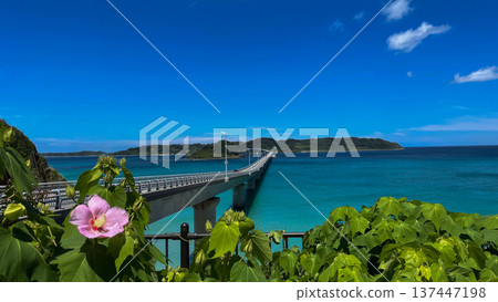 山口縣下關市，碧綠的海水，藍色的天空，以及角島大橋 137447198