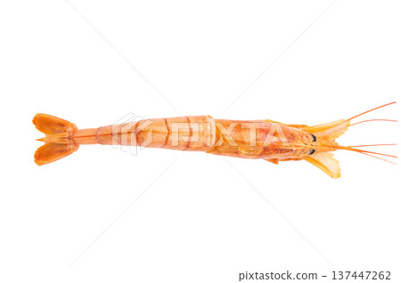 Fresh red Argentine shrimp, raw Prawn Langostino Austral isolated on white background. top view Fresh red Argentine shrimp, raw Prawn Langostino Austral isolated on white background. top view 137447262