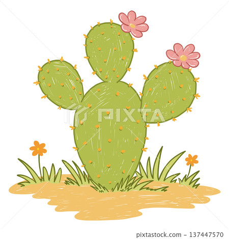 Prickly pear cactus plant with desert flowers in childlike hand drawn style 137447570