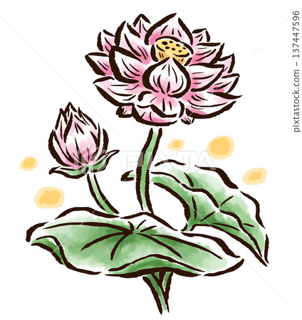 Lotus flower brush-touch hand-drawn illustration Lotus flower brush-touch hand-drawn illustration 137447596