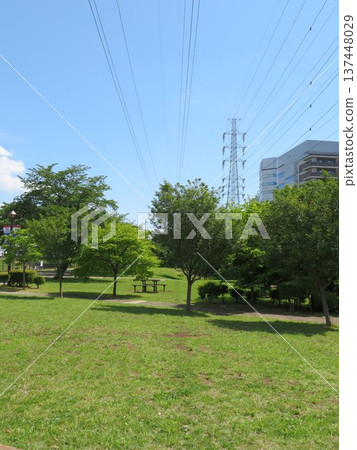 公園在一個晴天 公園在一個晴天 137448029