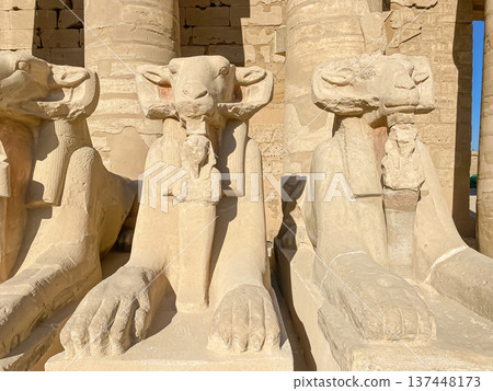 Karnak Temple is dedicated to the temple complex of Ancient Egypt. Thebes, Karnak, Luxor, Egypt Karnak Temple is dedicated to the temple complex of Ancient Egypt. Thebes, Karnak, Luxor, Egypt 137448173
