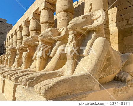 Karnak Temple is dedicated to the temple complex of Ancient Egypt. Thebes, Karnak, Luxor, Egypt 137448174