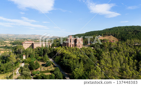 Javier Castle, medieval fortress in green landscape 137448383