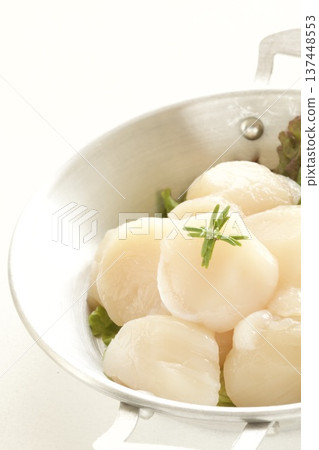 生扇貝閉殼肌 生扇貝閉殼肌 137448553