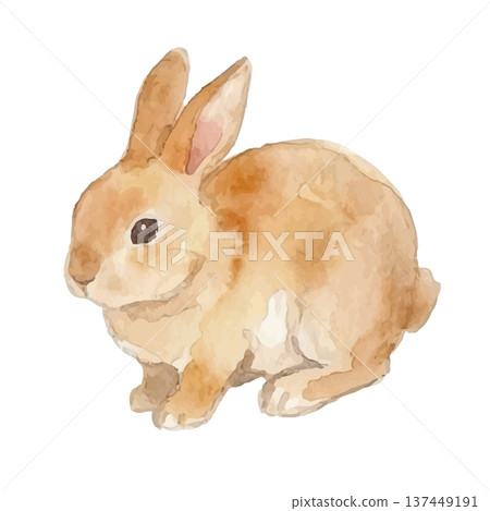 Watercolor style rabbit illustration Watercolor style rabbit illustration 137449191