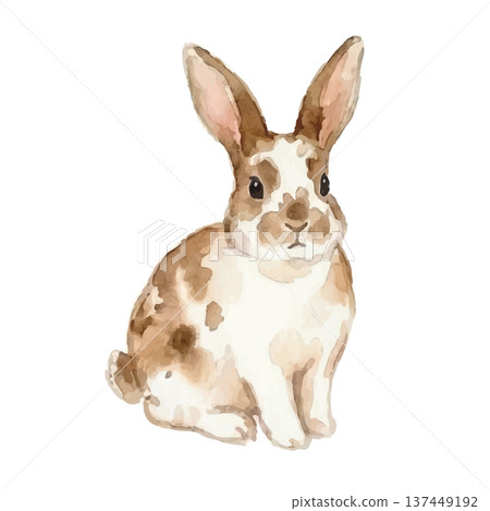 Watercolor style rabbit illustration Watercolor style rabbit illustration 137449192
