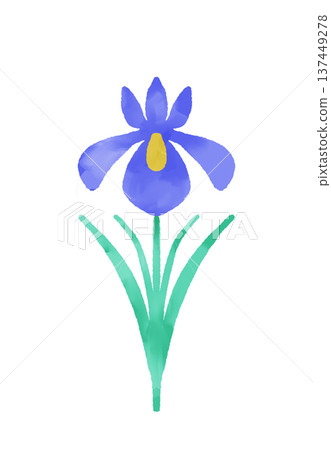 Watercolor iris flowers for Children's Day events 1 Watercolor iris flowers for Children's Day events 1 137449278