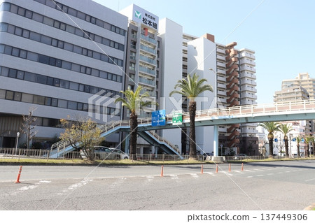 Phoenix Street in Yasuicho, Sakai Ward, Sakai City Phoenix Street in Yasuicho, Sakai Ward, Sakai City 137449306