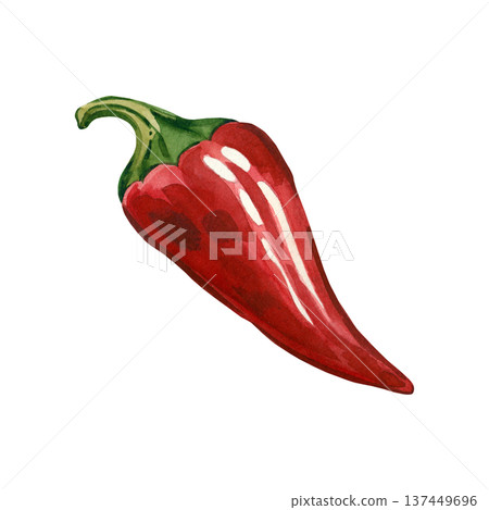 A hand-painted watercolor red jalapeno pepper isolated on a white background. This fresh, spicy vegetable is perfect for food packaging, canned goods, deli items, and menus. A hand-painted watercolor red jalapeno pepper isolated on a white background. This fresh, spicy vegetable is perfect for food packaging, canned goods, deli items, and menus. 137449696