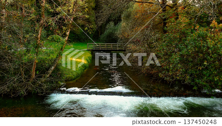 Scenic view of a river flowing under a rustic bridge in nature. 137450248