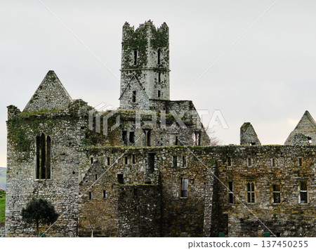 Timoleague Friary. Historical Irish abbey. Exterior of an aged, abandoned stone monastery. Picturesque view of old building with visible decay. 137450255