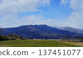 Rice fields with mountain views 137451077
