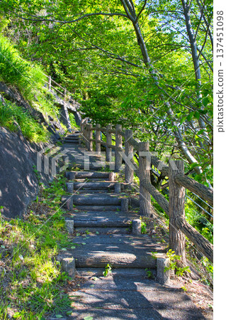 [Shizuoka Prefecture] Hiking course at Satta Pass 137451098