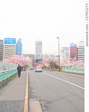 A springtime Tokyo landscape created by the cherry blossoms of Ushigome Moat and roads. Illustrated photo. A springtime Tokyo landscape created by the cherry blossoms of Ushigome Moat and roads. Illustrated photo. 137451273