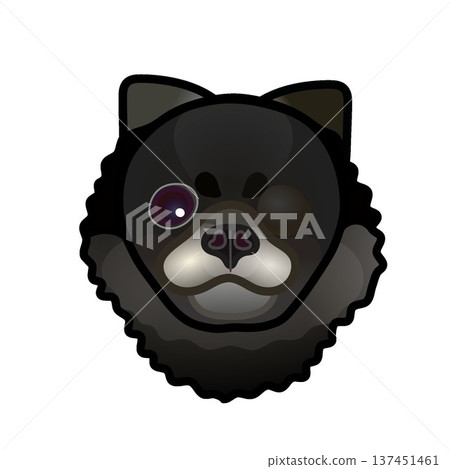 黑色博美犬臉部插圖 137451461
