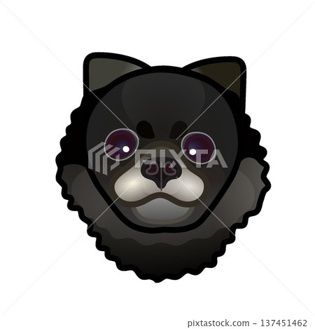 黑色博美犬臉部插圖 137451462