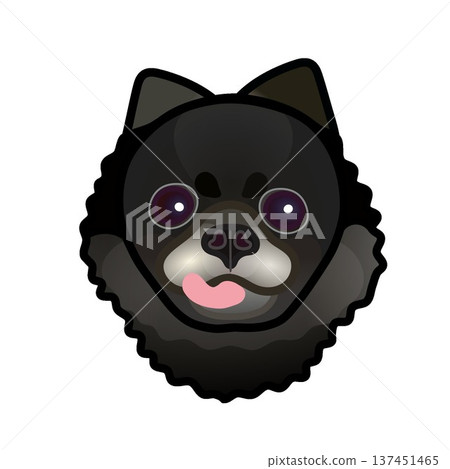 Illustration of a black Pomeranian's face Illustration of a black Pomeranian's face 137451465