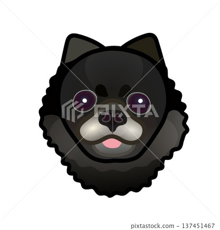 Illustration of a black Pomeranian's face 137451467