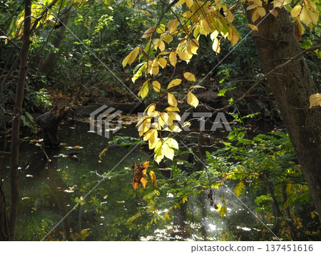 Three Buddhist Temple Ponds in Autumn Three Buddhist Temple Ponds in Autumn 137451616