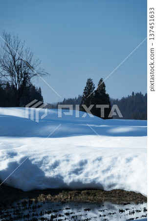 冬季山村的鄉村景色,白雪皚皚,水潭清澈見底。 冬季山村的鄉村景色,白雪皚皚,水潭清澈見底。 137451633